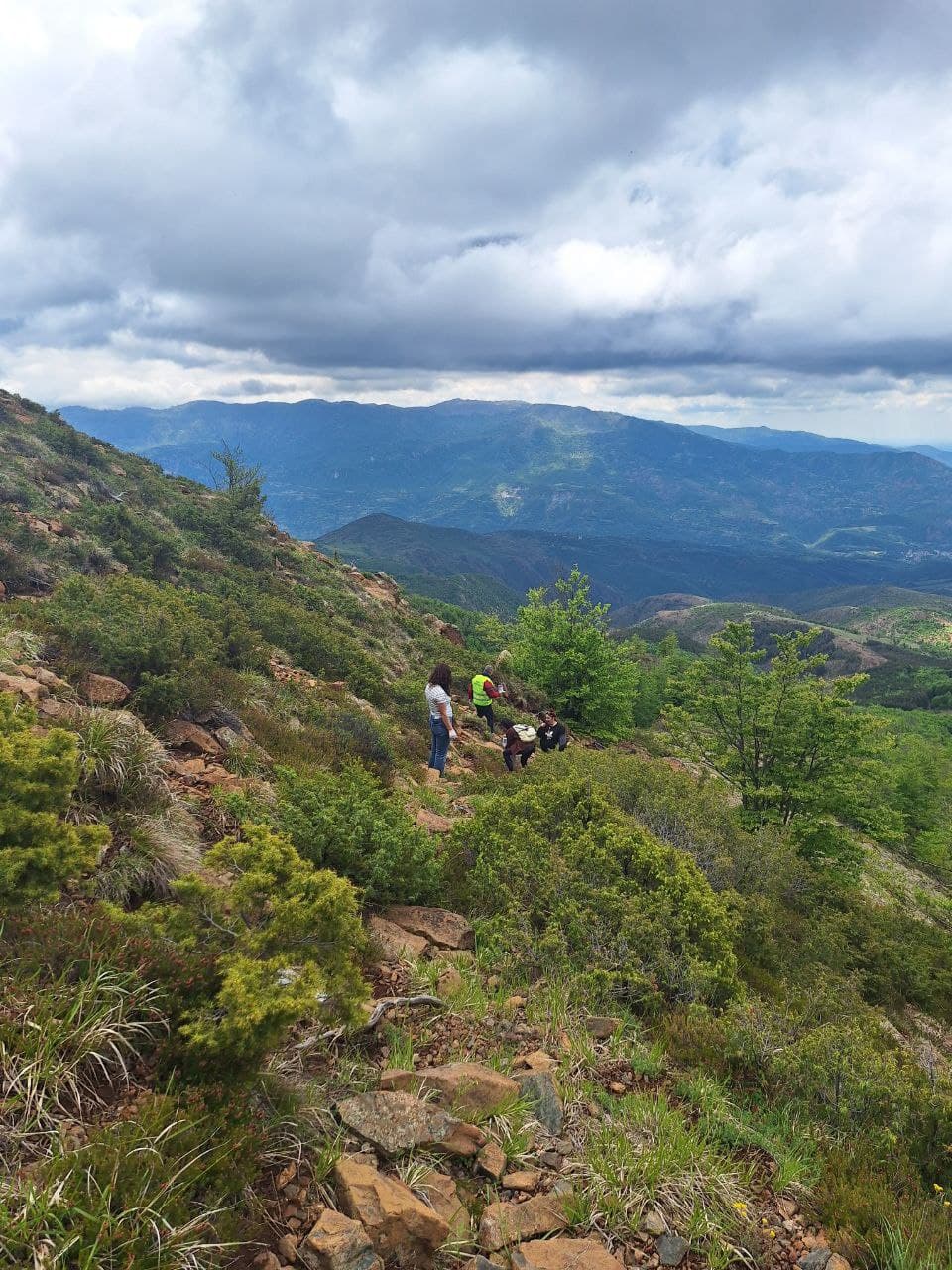 Sweeping landscape view showcasing the park's diverse terrain and vegetation