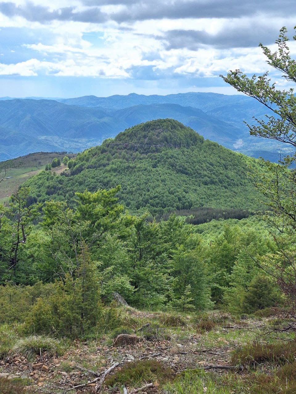 Mountain views from within Shebenik National Park